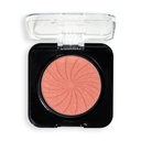 Disney's Alice in Wonderland & Revolution The Wrong Alice Blusher