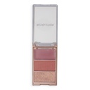Revolution Blush Icon Palette Aura Points Rose