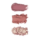 Revolution Blush Icon Palette Aura Points Rose