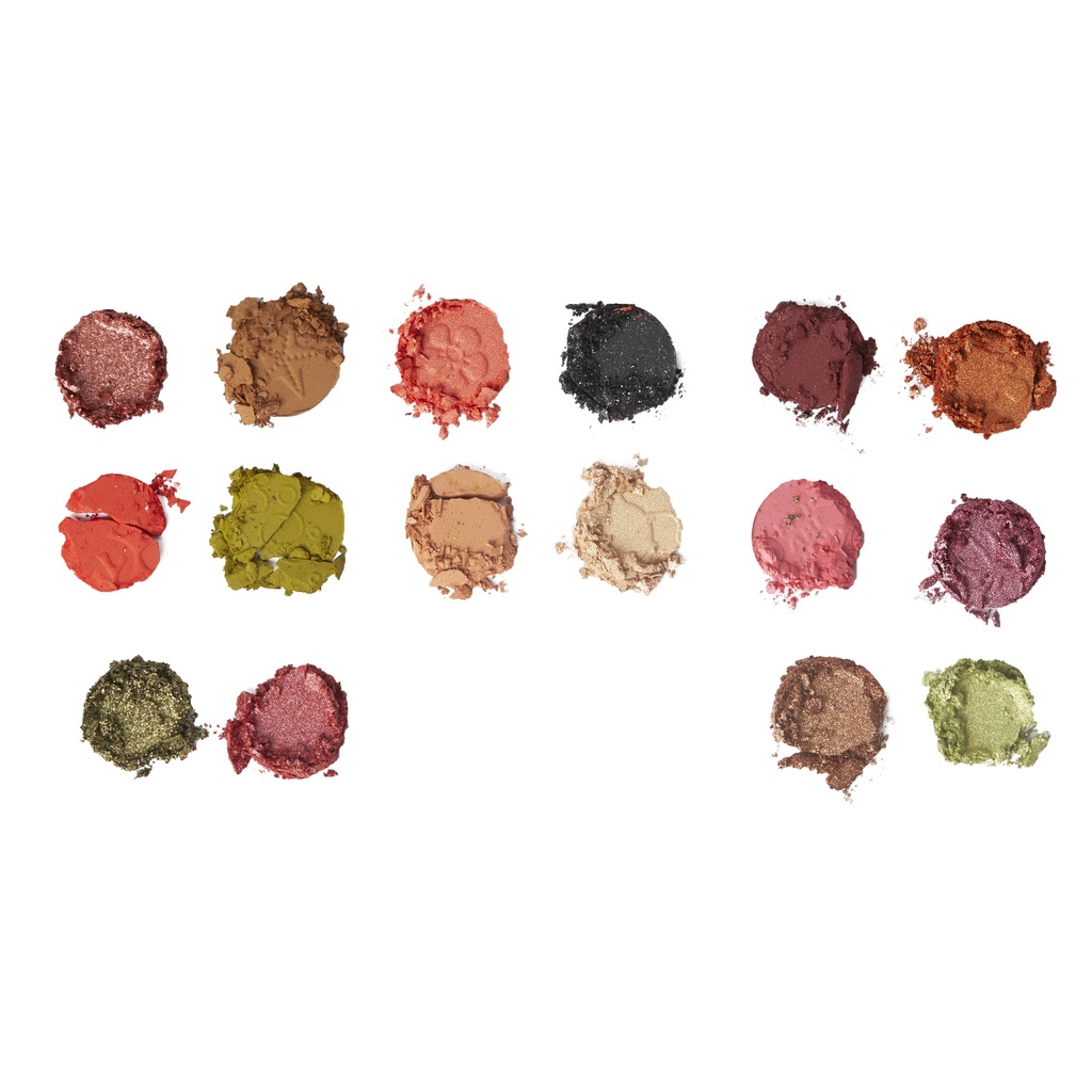 Disney Pixar's Finding Nemo and Revolution P. Sherman Shadow Palette