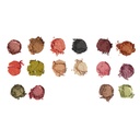 Disney Pixar's Finding Nemo and Revolution P. Sherman Shadow Palette