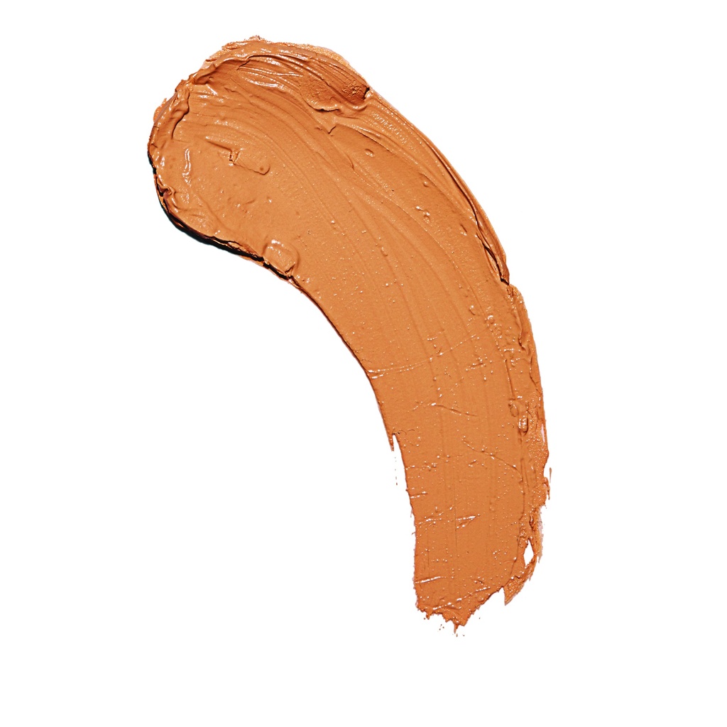 Makeup revolution fast base stick foundation F11