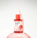 [ROUND LAB] CAMELLIA DEEP COLLAGEN FIRMING AMPOULE 30ml