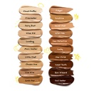 Trouble Maker Ditto Radiant Concealer Fidget