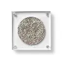 Beauty Creations Riding Solo Single Shadow - Outta