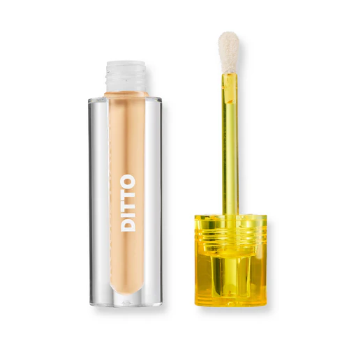 Trouble Maker Ditto Radiant Concealer Fidget