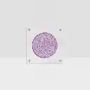 Beauty Creations Riding Solo Single Pressed Shadow Boots On