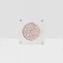 Beauty Creations Riding Solo Single Pressed Shadow Cowboy Era